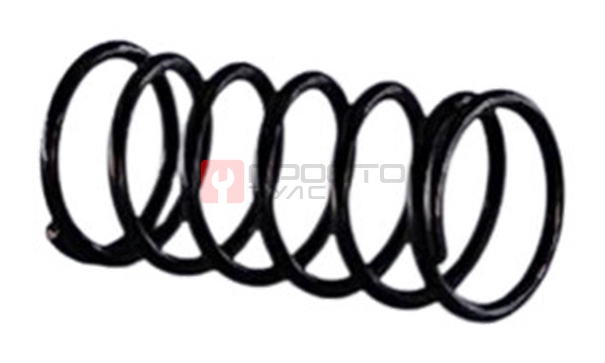  WDK-25510-29 Пружина впускного клапана (0)