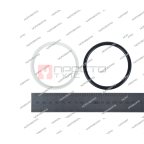  Ремкомплект для стяжного цилиндра N38B20 (2)