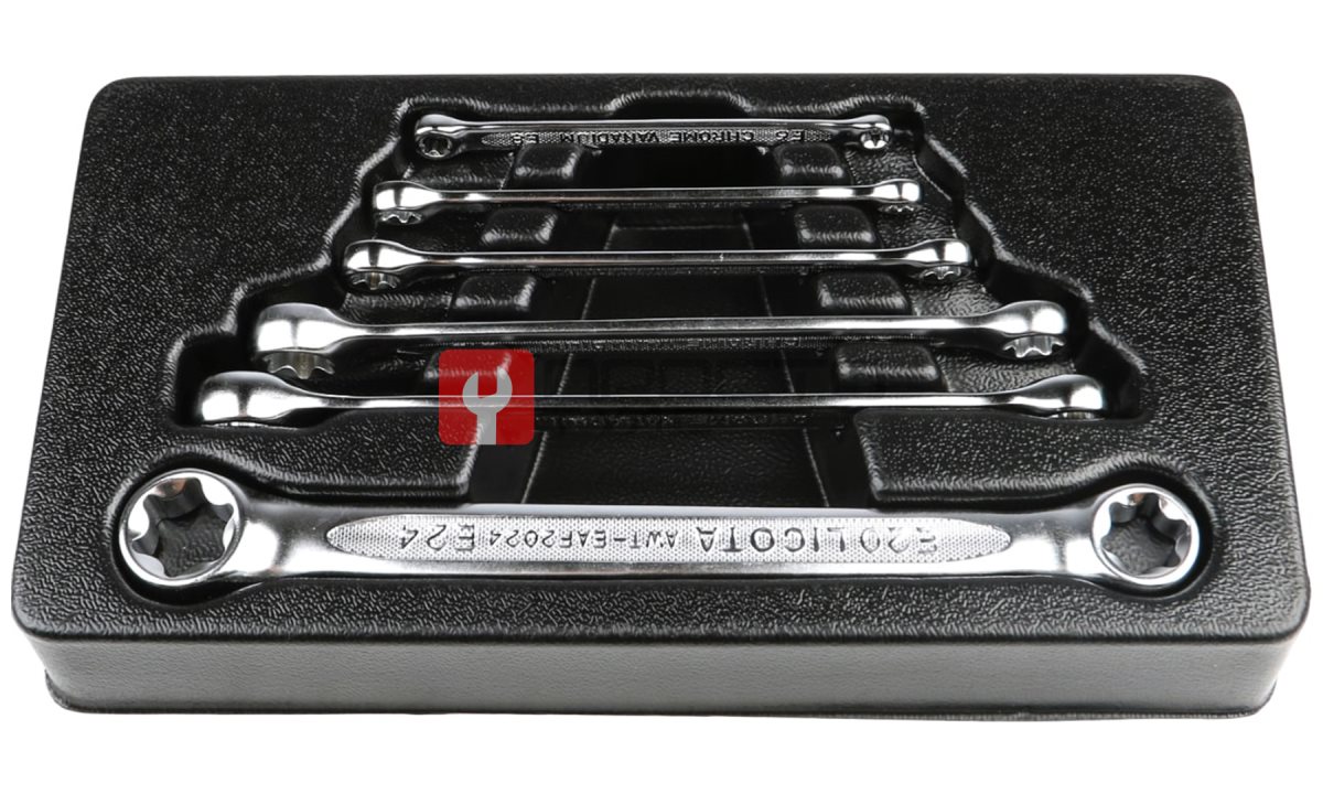  Licota ACK-274011 Набор ключей E-профиль E6 - E24 в ложементе, 6 пр. (0)