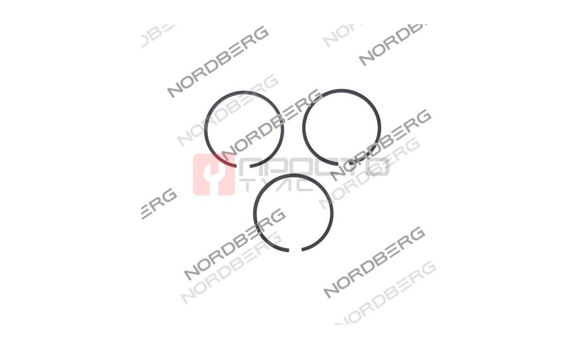  Комплект поршневых колец D55 для NCP100/360A (0)