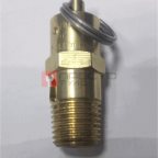  Клапан предохранительный 10bar 1/4\'\' (old 9049102) мни (0)