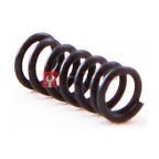  Пружина Spring RT-5277 поз. 25 (2)