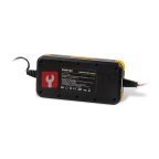  RUNTEC RT-CB100 Зарядное устройство автоматическое 6/12В, 4А/8А (2)