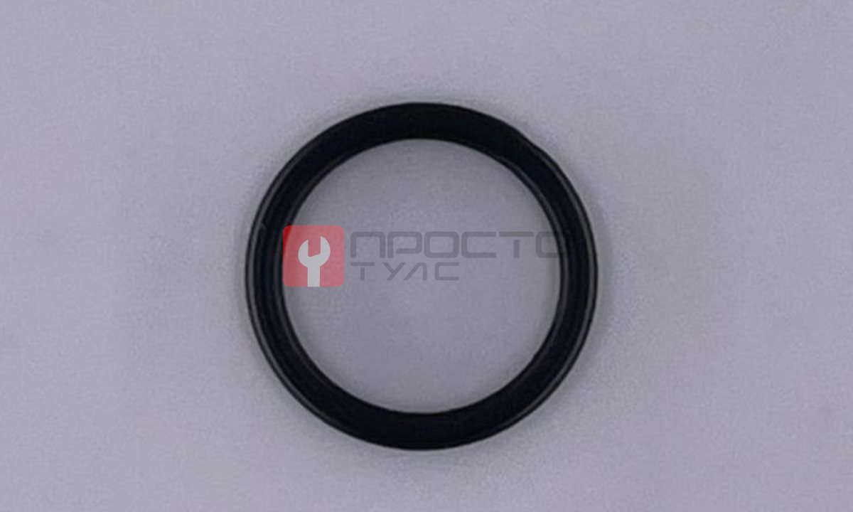  WDK-20840-38 Кольцо (0)