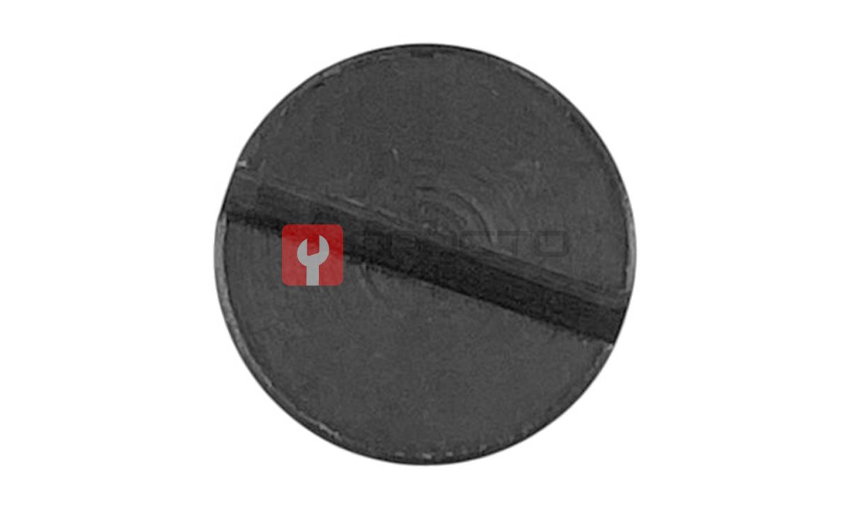  WDK-21445-09 Заглушка клапана (1)